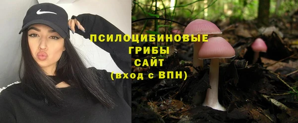 прущая мука Няндома