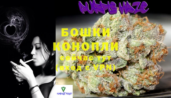 крисы Нягань