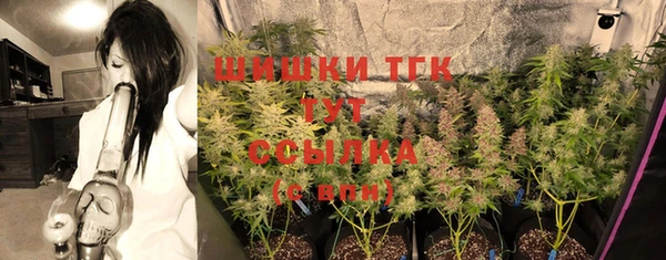прущая мука Няндома