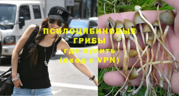 крисы Нягань