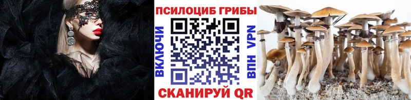 Галлюциногенные грибы мицелий  как найти закладки  OMG онион  Сольцы 